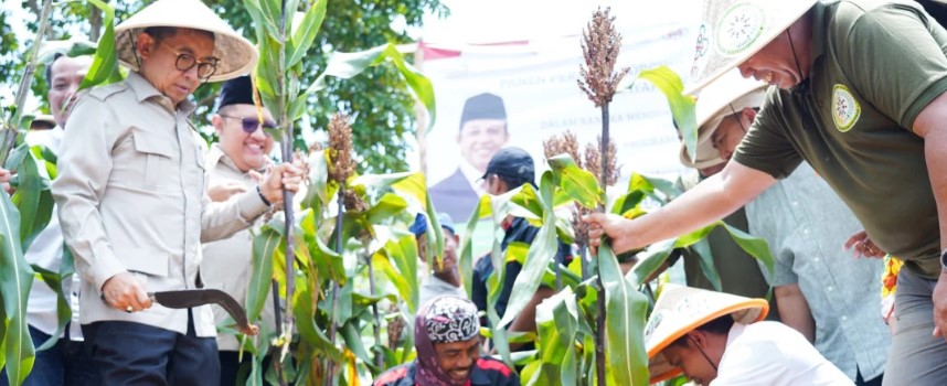 Karawang Gemakan Panen Sorghum: Langkah Strategis Menuju Kemandirian Pangan Nasional