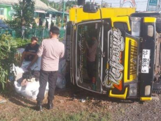 Insiden di Indramayu: Truk Pengangkut Pakan Ikan Terguling Akibat Manuver Menghindar