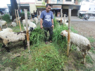 Kabupaten Bandung Intensifkan Pembekalan Teknis Juru Sembelih Kurban Jelang Idul Adha