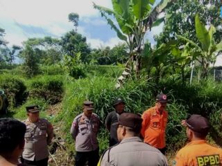 Kabar Gembira dari Gunung Cikuray: Pendaki Karawang yang Hilang Ditemukan Selamat
