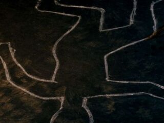 Tragis! Petugas Bank Keliling Ditemukan Tewas Mengenaskan di Kebun Mangga Subang