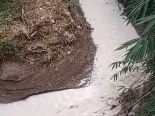 EKOLOGI MATI,Kali Ci Gembol Disulap Menjadi Sungai Susu Beracun oleh PT Pindo Deli 4!