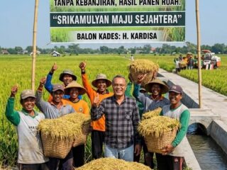 H. Kardisa: "Haram Hukumnya Petani Srikamulyan Menjerit Karena Pupuk Langka, Kekeringan, dan Banjir!"