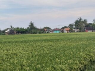 Menyoal Transparansi Tata Kelola Lahan di Baturaden: Program Nasional atau Potensi Sengketa Publik?