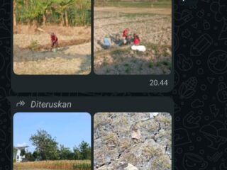 Ancaman Krisis Pangan dan Darurat Air Pakar Desak Langkah Strategis Lintas Kementerian