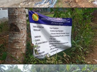 Pencairan Anggaran Tahap II Belum Jelas, Program Irigasi Pompa  Terancam Mangkrak dan Padi Warga Mulai Mengering
