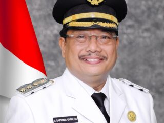 Profesor Sutan Nasomal  Penanggung jawab Timpas 1 Yakin Golkar Aceh Singkil Di pimpin Safriadi Oyon SH Akan Maju Melambung,!!