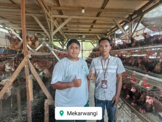 Ketahanan Pangan Djaya Abadi Lewat Program Ayam Petelur 850 Ekor BUMDes Mekarwangi 