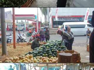 Putra Kujang Mandiri Glosir buah di Depan Pom Bensin Margaluyu Laris Manis, Semangka, Melon dan Mangga Jadi Primadona